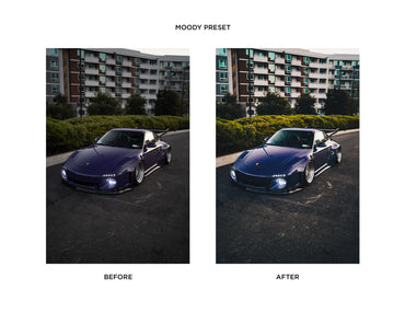 Adobe Lightroom Preset | Moody